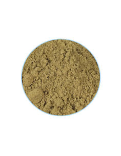 Baldrian (Valeriana officinalis) – 60 Kapseln, Indian... 2