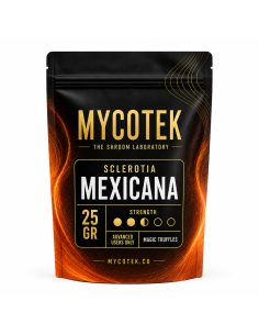 Magische Trüffel Psilocybe Mexicana – Mycotek 2