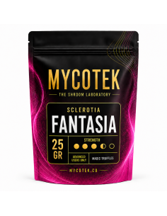 Magische Trüffel Psilocybe Fantasia – Mycotek 2