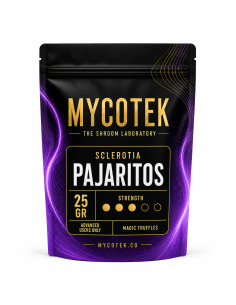 Magische Trüffel Psilocybe Pajaritos – Mycotek 2
