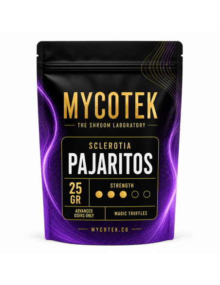 Magische Trüffel Psilocybe Pajaritos – Mycotek – Packung mit 25 g, Vorderseite