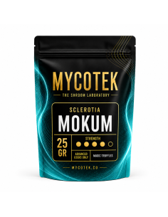Magische Trüffel Psilocybe Mokum – Mycotek 2
