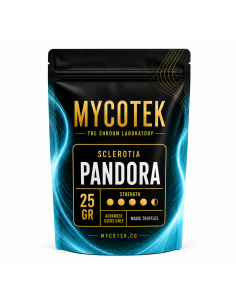 Magische Trüffel Psilocybe Pandora – Mycotek 2