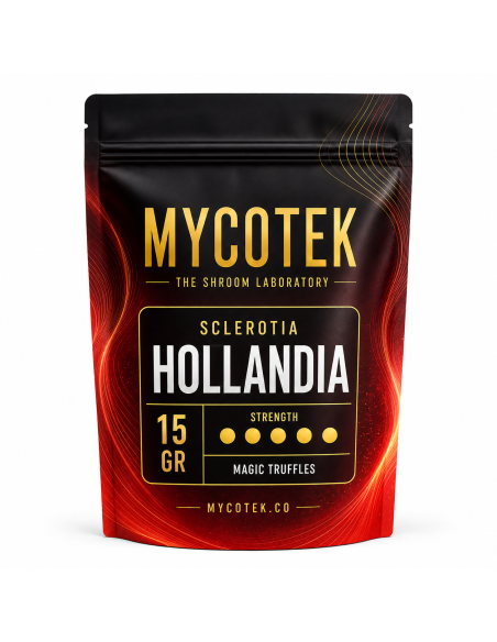 Magische Trüffel Psilocybe Hollandia – Mycotek – Packung mit 15 g, Vorderseite