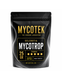 Magische Trüffel Psilocybe Mycotrop – Mycotek 2