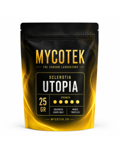 Magische Trüffel Psilocybe Utopia – Mycotek 2