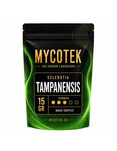 Magische Trüffel Psilocybe Tampanensis – Mycotek – Packung mit 15 g, Vorderseite