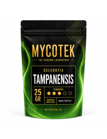 Magische Trüffel Psilocybe Tampanensis – Mycotek – Packung mit 25 g, Vorderseite