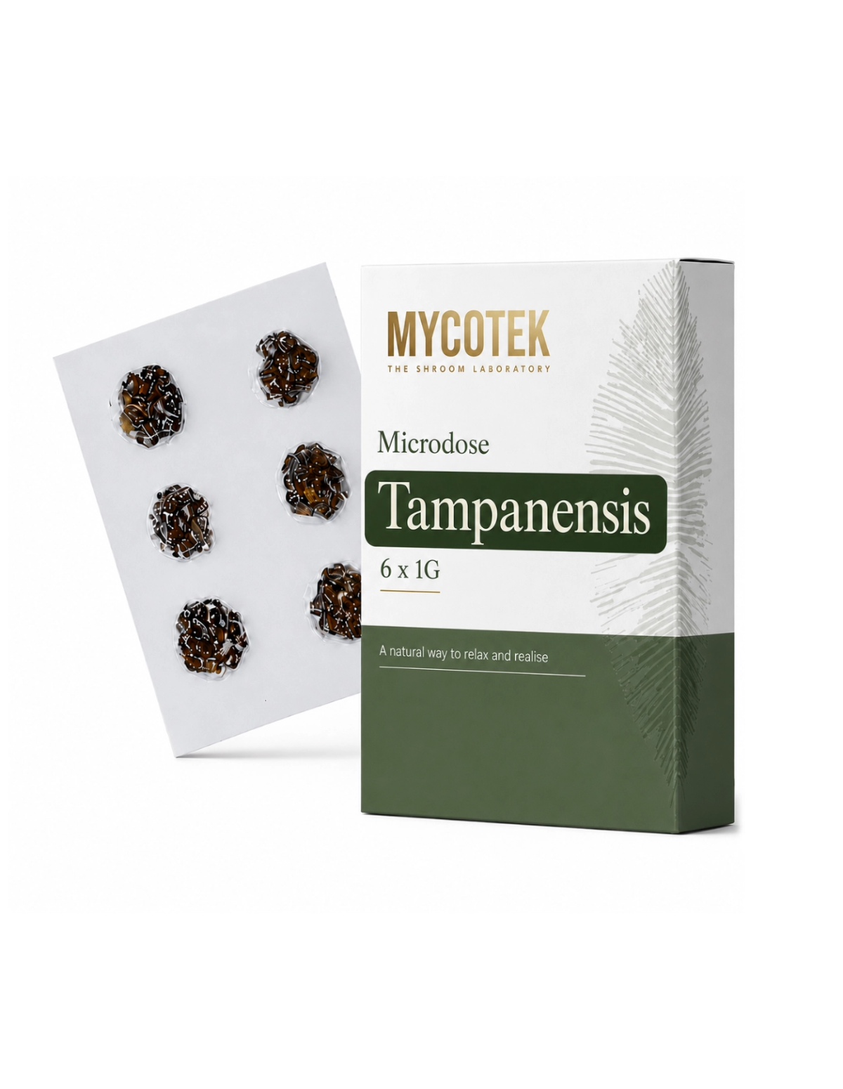 Microdosing-Pack Tampanensis – Mycotek, 6 × 1 g – grüne Schachtel mit der Karte dahinter