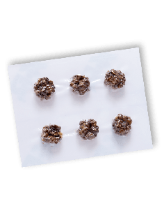 Microdosing-Pack Mycotrop – Mycotek, 6 × 1 g 2