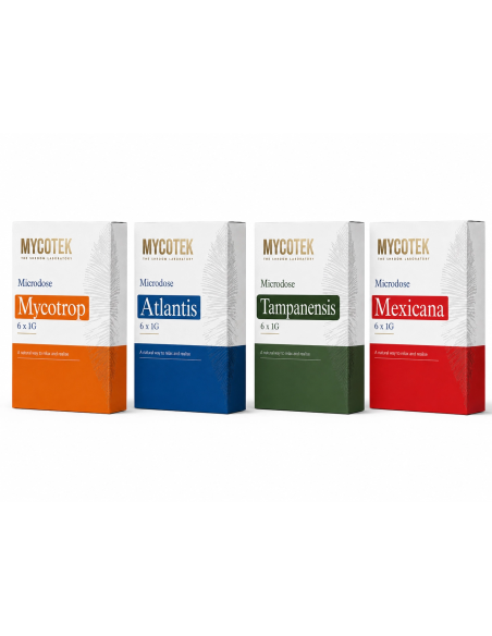 Microdosing-Pack Mycotrop – Mycotek, 6 × 1 g – Schachtel neben den Packs Atlantis, Tampanensis und Mexicana