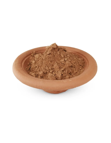 7-Pilze-Mischung als Pulver – mit Reishi, Chaga und Igelstachelbart – Pulver in einer Schale