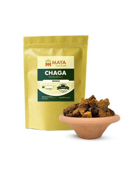 Chaga (Inonotus obliquus) – ganze Stücke, Wildsammlung aus Finnland – Beutel und Stücke