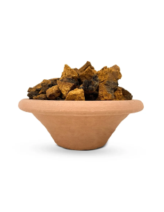 Chaga (Inonotus obliquus) – ganze Stücke, Wildsammlung... 2