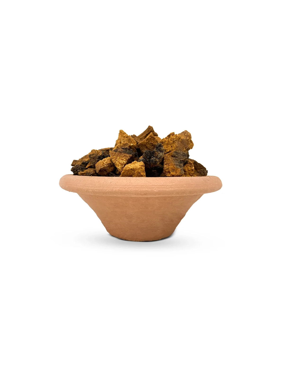 Chaga (Inonotus obliquus) – ganze Stücke, Wildsammlung aus Finnland – Stücke in einer Schale