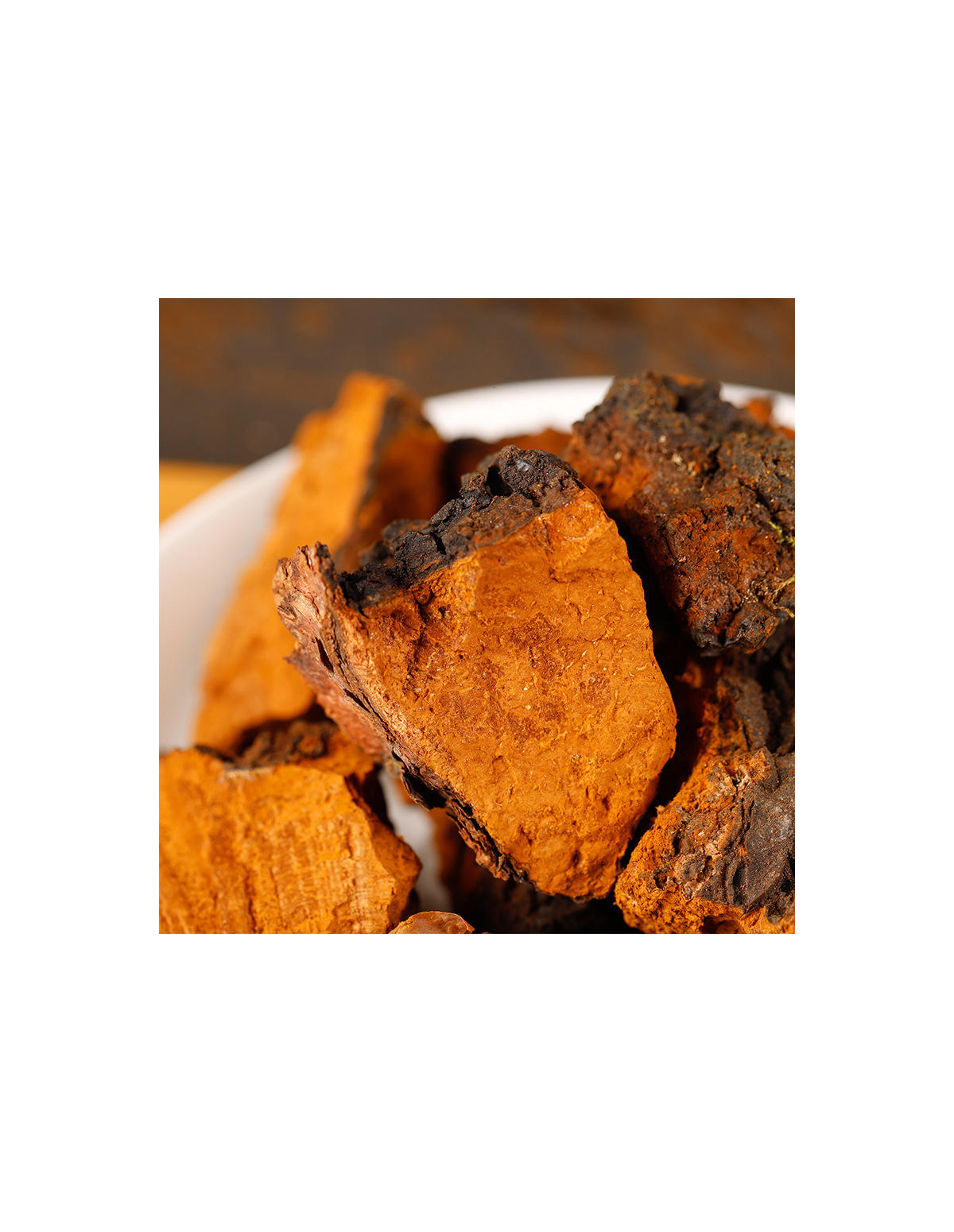 Chaga (Inonotus obliquus) – ganze Stücke, Wildsammlung aus Finnland – Bruchstücke in Nahaufnahme