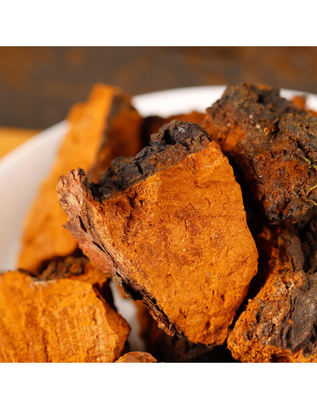 Chaga (Inonotus obliquus) – ganze Stücke, Wildsammlung aus Finnland – Bruchstücke in Nahaufnahme