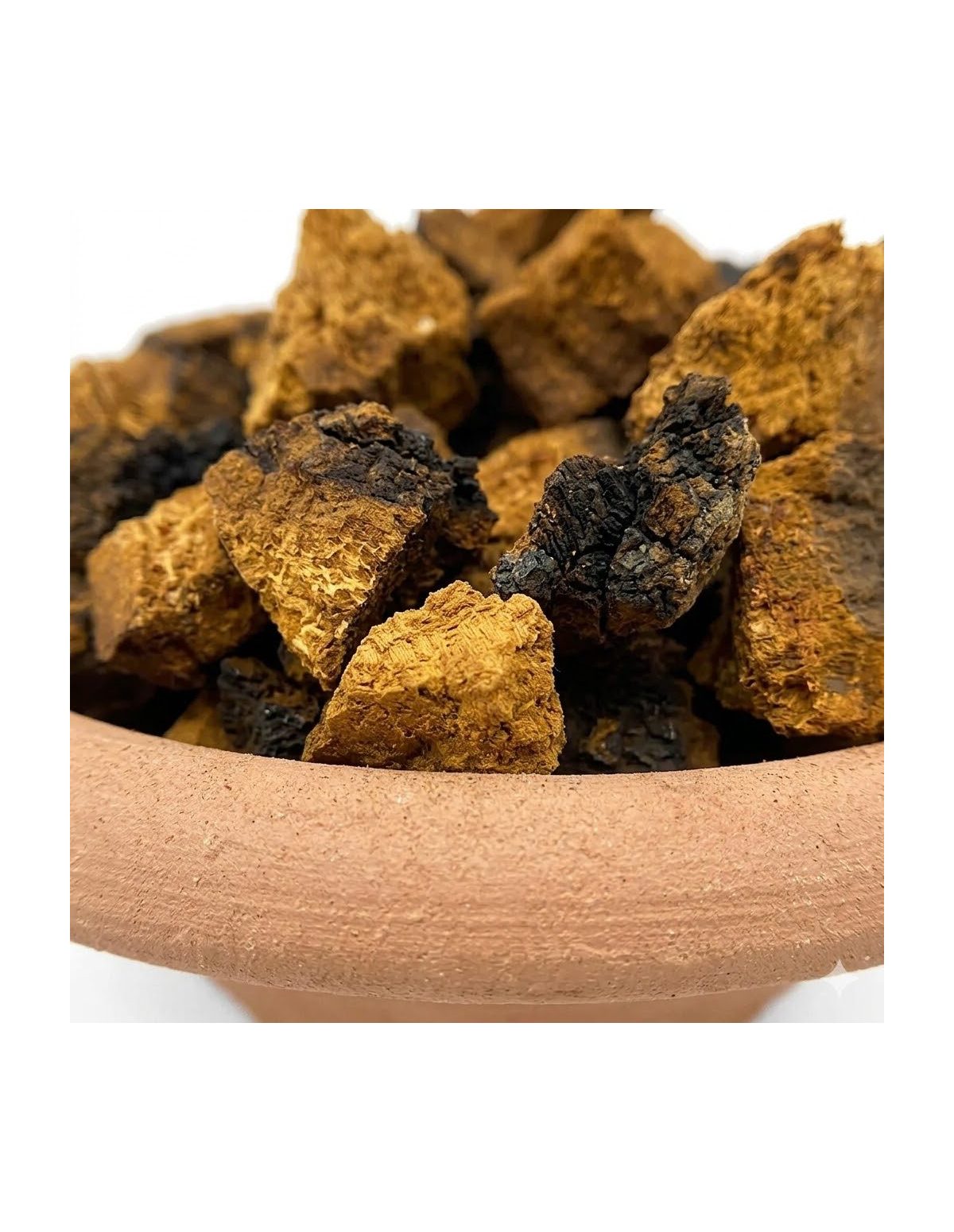 Chaga (Inonotus obliquus) – ganze Stücke, Wildsammlung aus Finnland – Detail der Stücke
