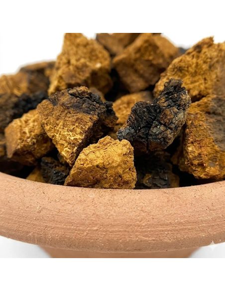 Chaga (Inonotus obliquus) – ganze Stücke, Wildsammlung aus Finnland – Detail der Stücke