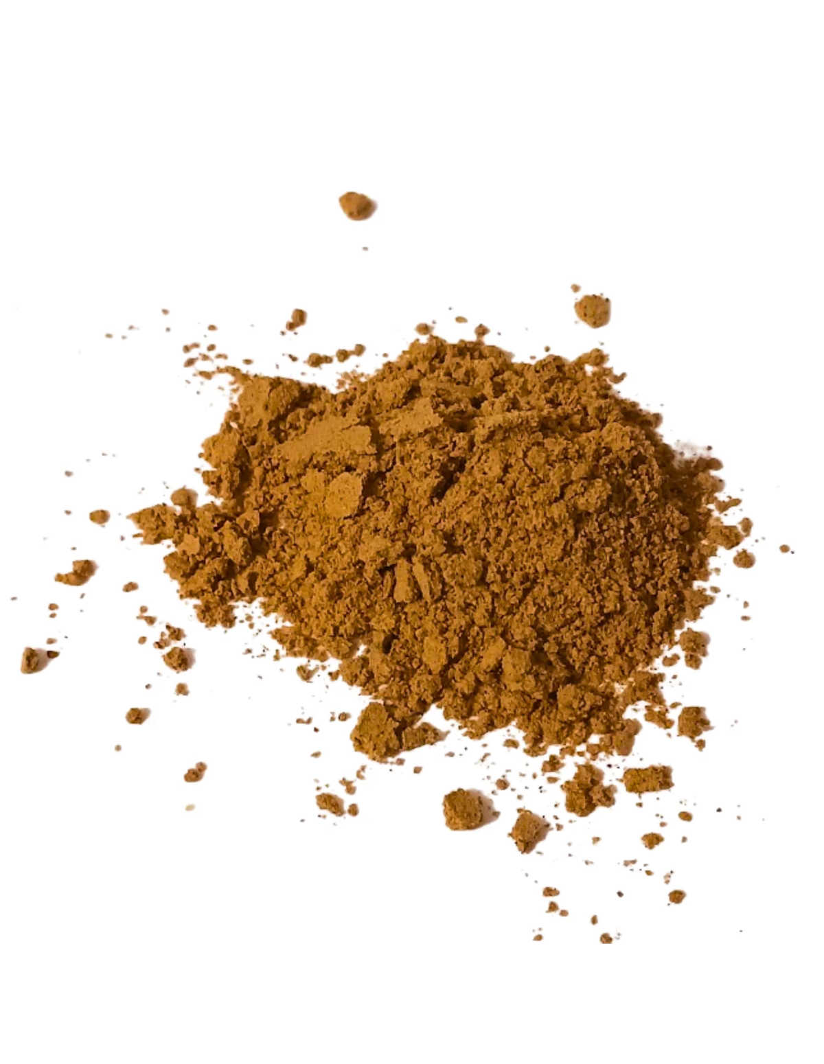 Chaga-Pulver (Inonotus obliquus) – Wildsammlung aus Finnland, 100 g – loses Pulver