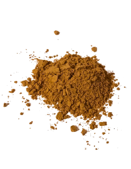 Chaga-Pulver (Inonotus obliquus) – Wildsammlung aus Finnland, 100 g – loses Pulver