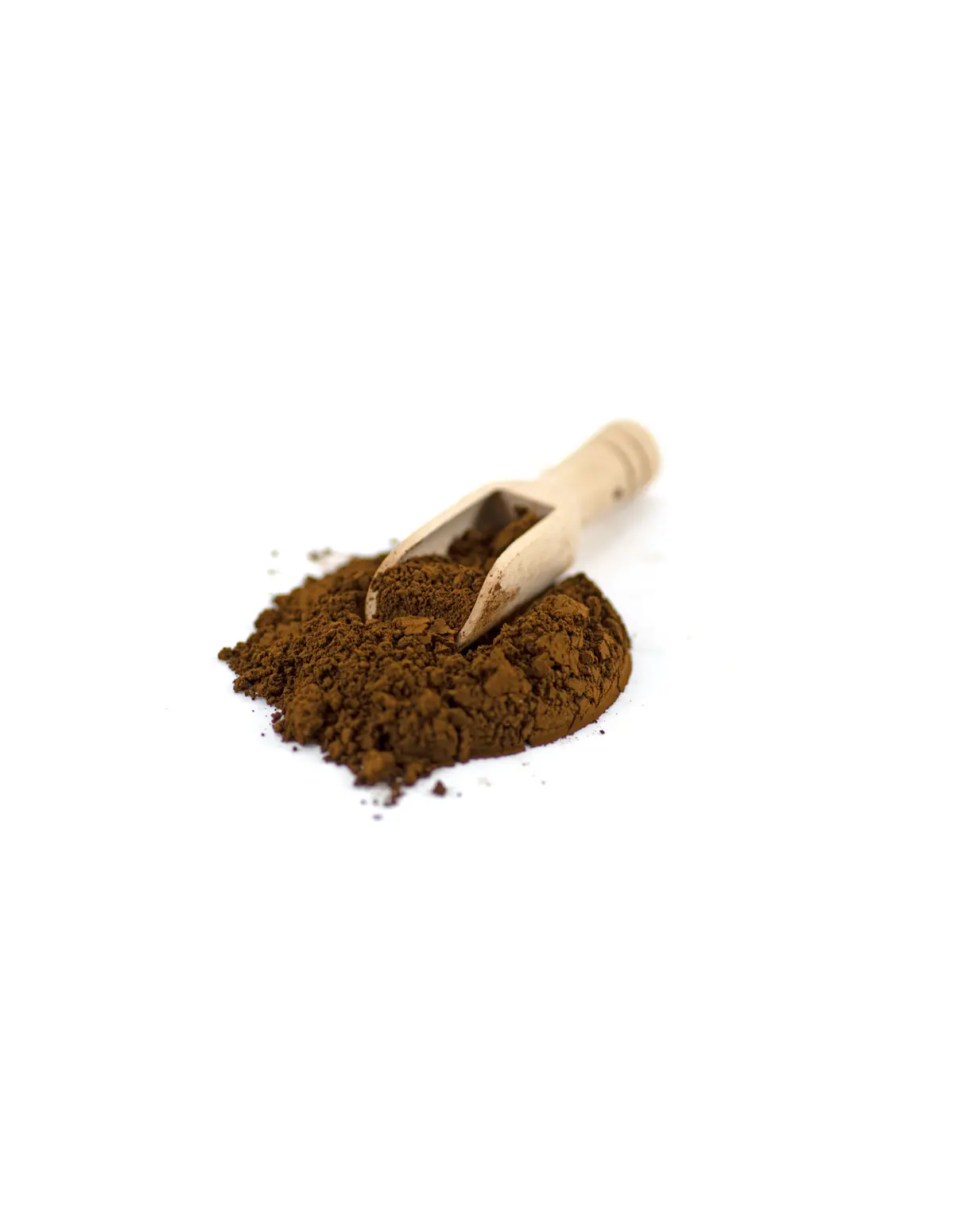 Chaga-Pulver (Inonotus obliquus) – Wildsammlung aus Finnland, 100 g – Pulver mit Holzlöffel
