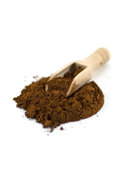 Chaga-Pulver (Inonotus obliquus) – Wildsammlung aus Finnland, 100 g – Pulver mit Holzlöffel