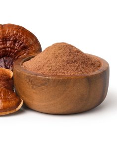 Reishi-Pulver (Ganoderma lucidum) – Ling Zhi aus China,... 2