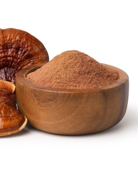 Reishi-Pulver (Ganoderma lucidum) – Ling Zhi aus China, 100 g – Pulver und Fruchtkörper
