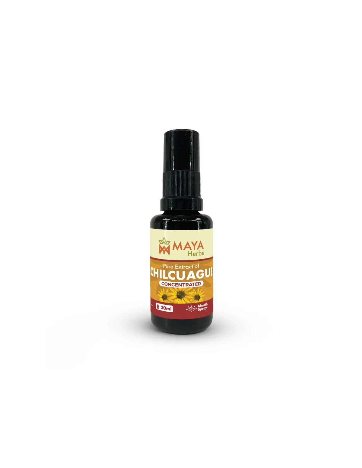 Chilcuague-Extrakt (Heliopsis longipes), Konzentrat-Spray, 30 ml – Flasche mit Sprühkopf