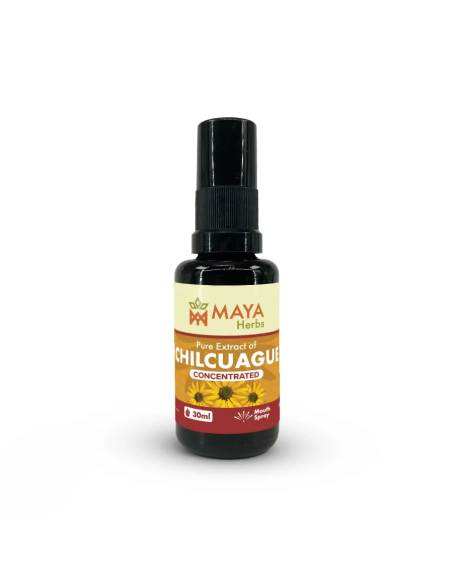Chilcuague-Extrakt (Heliopsis longipes), Konzentrat-Spray, 30 ml – Flasche mit Sprühkopf