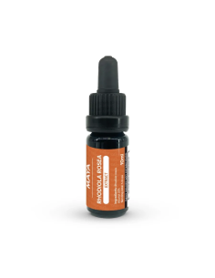Rhodiola-Extrakt (Rhodiola rosea) – 10 ml