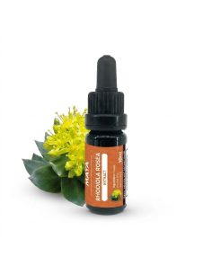 Rhodiola-Extrakt (Rhodiola rosea) – 10 ml 2