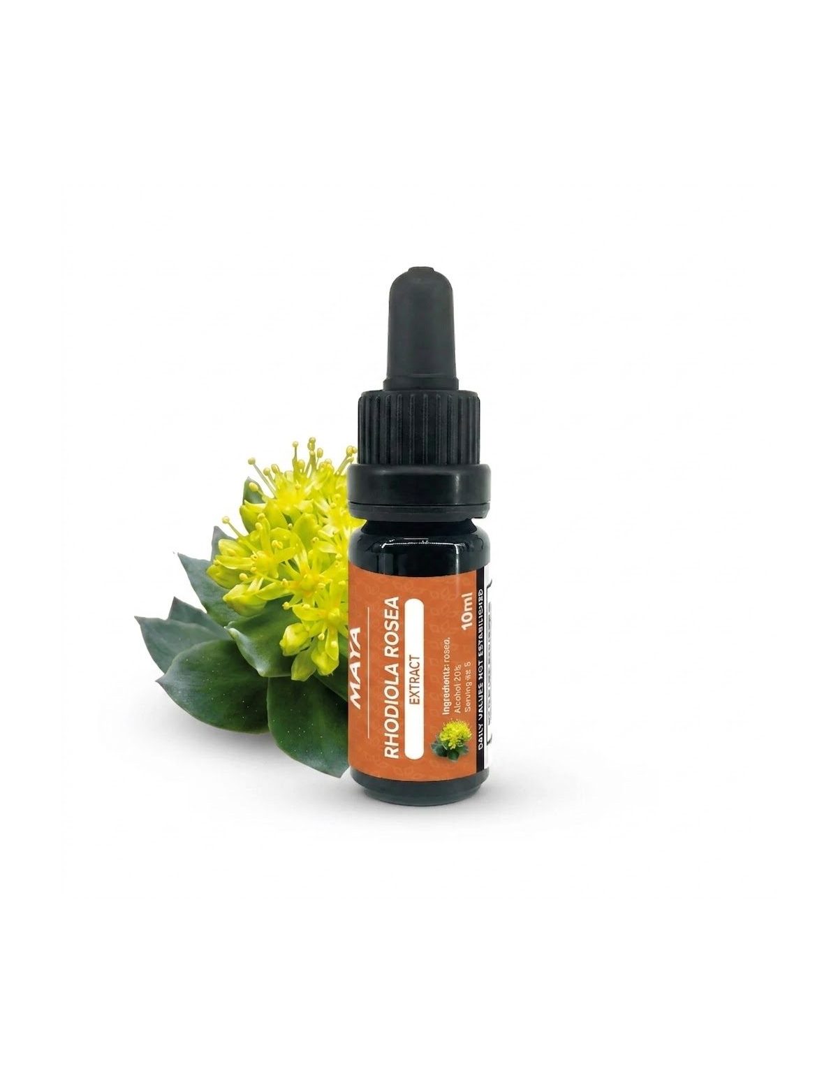 Rhodiola-Extrakt (Rhodiola rosea) – 10 ml – Flasche neben einer blühenden Pflanze