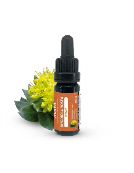 Rhodiola-Extrakt (Rhodiola rosea) – 10 ml – Flasche neben einer blühenden Pflanze
