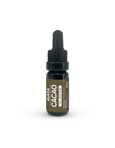 Kakao-Extrakt (Theobroma cacao) aus Kolumbien – 10 ml – Flasche mit Etikett