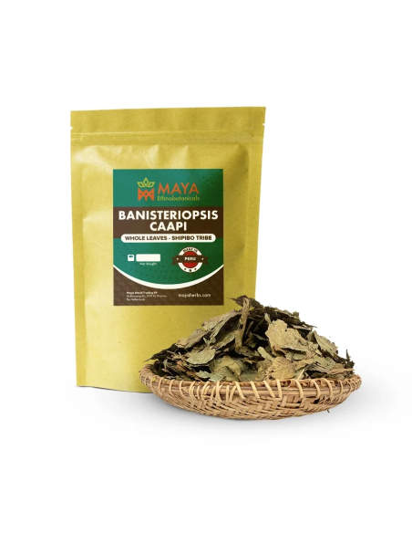 Ganze Caapi-Blätter Cielo (Banisteriopsis caapi) – Shipibo, Peru – Maya-Beutel und Blätter im Korb
