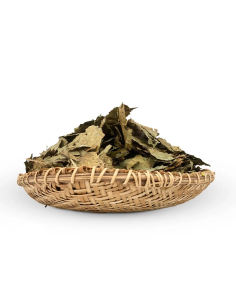 Ganze Caapi-Blätter Cielo (Banisteriopsis caapi) –... 2