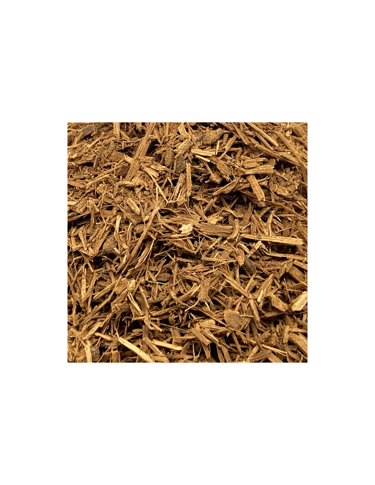 Cielo-Liane (Banisteriopsis caapi) – geschreddert, Peru – Nahaufnahme des Schnitts
