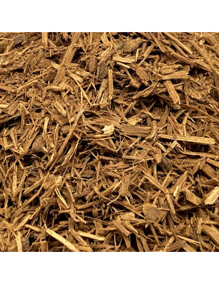 Cielo-Liane (Banisteriopsis caapi) – geschreddert, Peru – Nahaufnahme des Schnitts