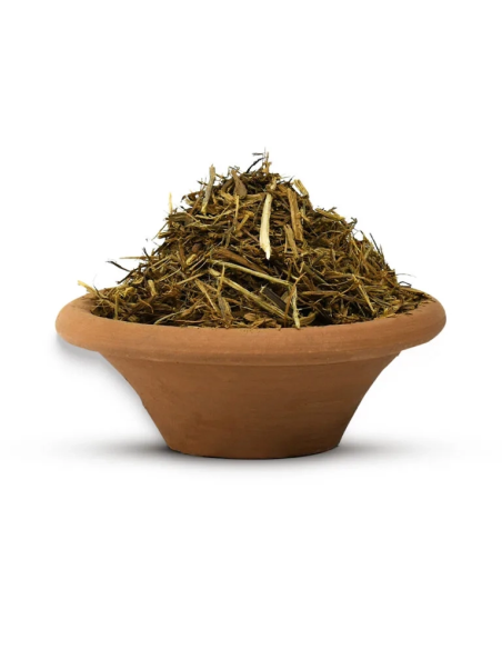 Gelbe Ayahuasca (Banisteriopsis caapi) – geschredderte Liane aus Peru – geschredderte Liane in einer Tonschale