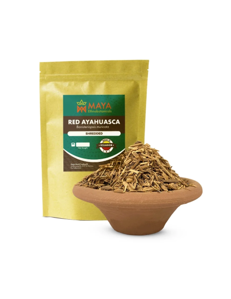 Rote Ayahuasca (Banisteriopsis muricata) – geschreddert, Ecuador – Maya-Beutel neben einer Schale mit Liane