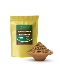 Rote Ayahuasca (Banisteriopsis muricata) – geschredderte...