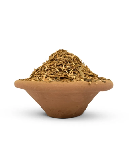 Rote Ayahuasca (Banisteriopsis muricata) – geschredderte Liane, Peru – Liane in einer Schale