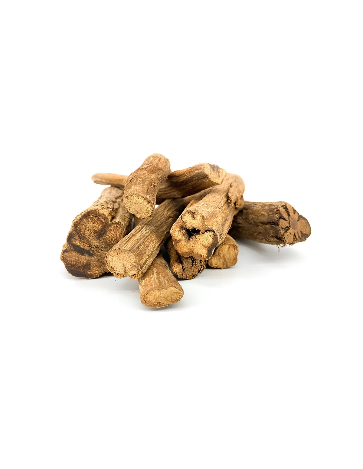 Gelbe Ayahuasca (Banisteriopsis caapi) – ganze Liane, Peru – Lianenstücke
