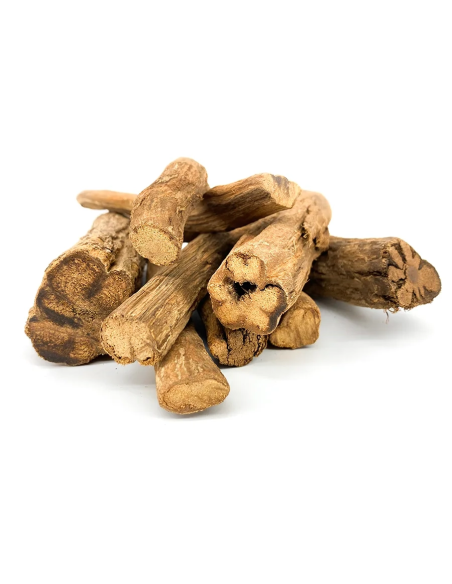 Gelbe Ayahuasca (Banisteriopsis caapi) – ganze Liane, Peru – Lianenstücke