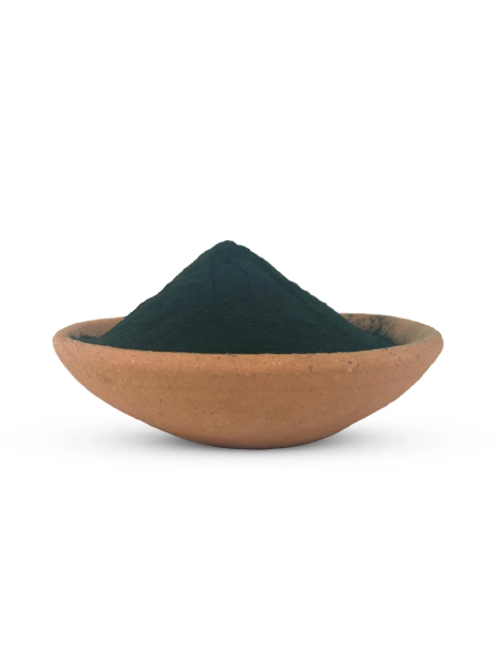Spirulina – Spirulina platensis – blaugrünes Pulver in einer Tonschale