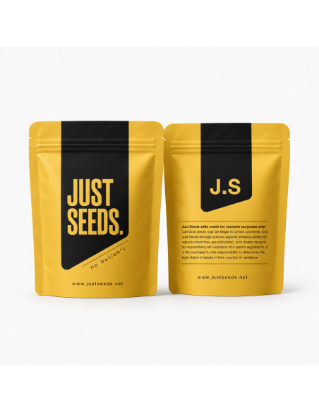 White Widow Auto Samen – Just Seeds – Just-Seeds-Beutel, Vorder- und Rückseite