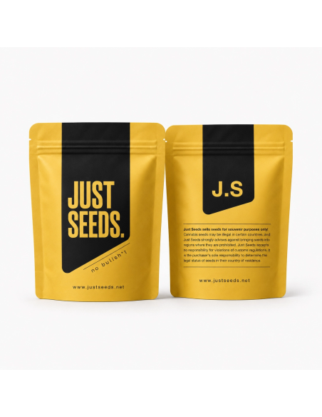 60 Day Grapefruit Auto Samen – Just Seeds – Beutel von Just Seeds, Vorder- und Rückseite