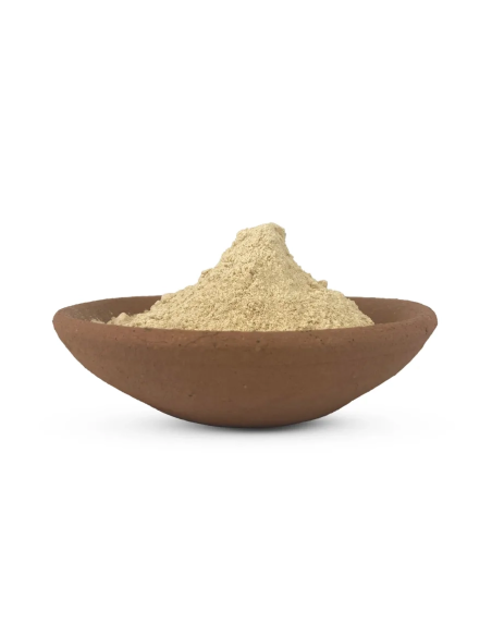 Maca – Lepidium meyenii – Wurzelpulver in einer Tonschale